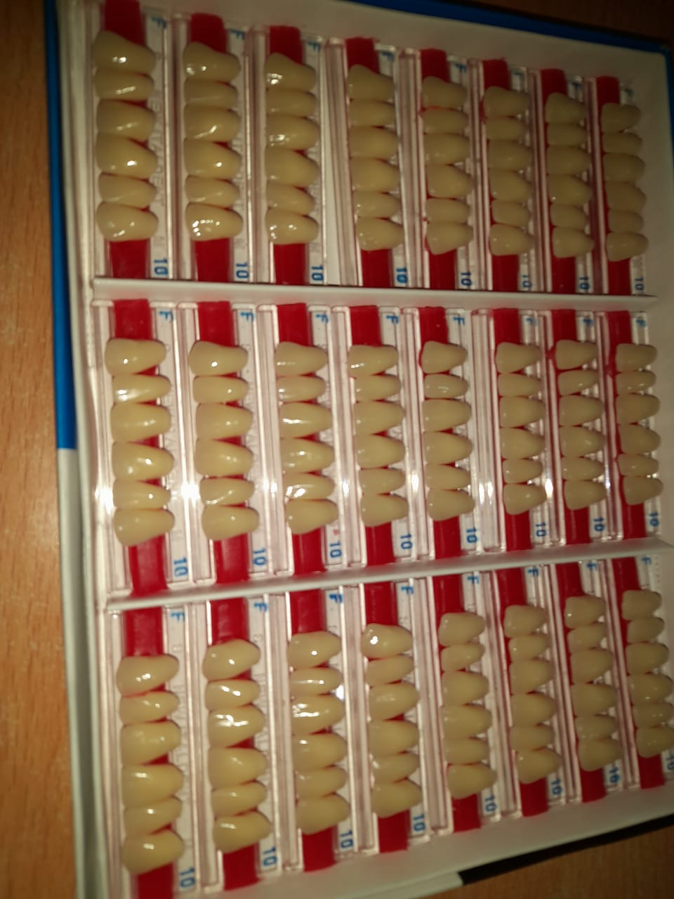 GIGI DEPAN ATAS BAWAH